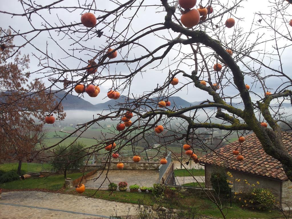 Fonte Chiara Villa Gubbio Eksteriør bilde