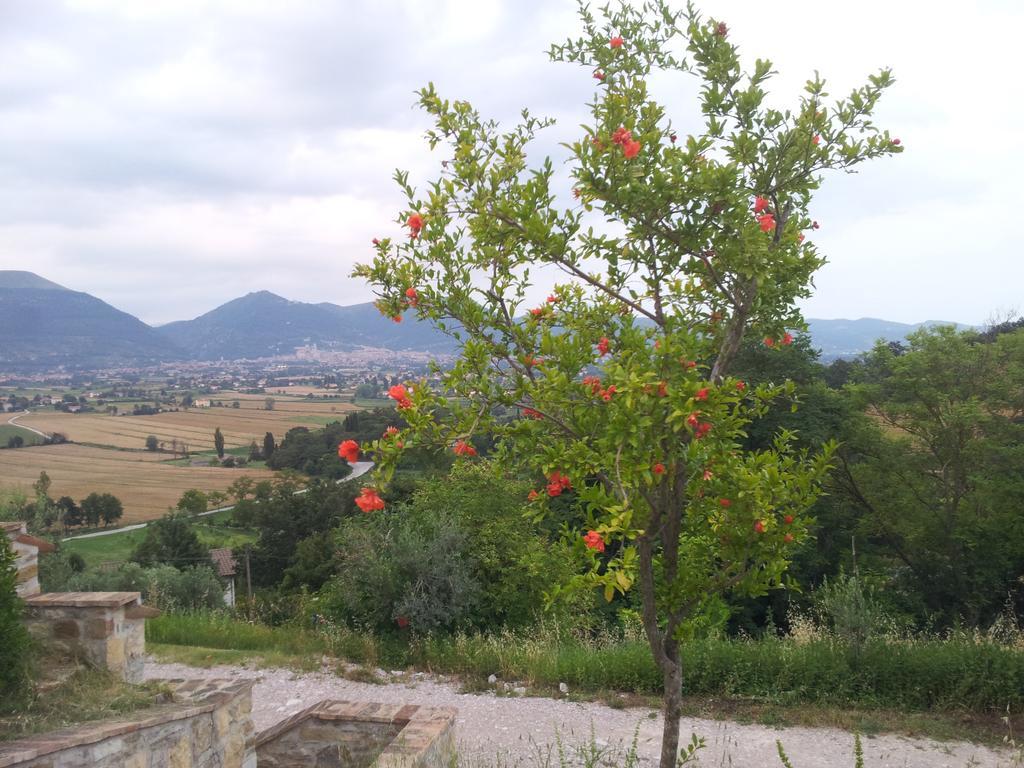 Fonte Chiara Villa Gubbio Rom bilde